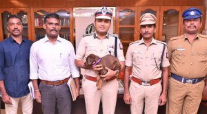 நெல்லை மாநகரக் காவல் துறைக்கு ப்ரௌனி வருகை : பெயர் சூட்டி வரவேற்ற கமிஷனர்!